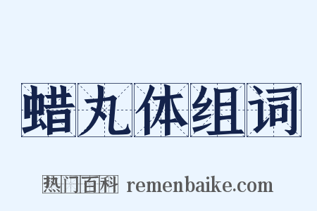 蜡丸体组词是什么意思的图片